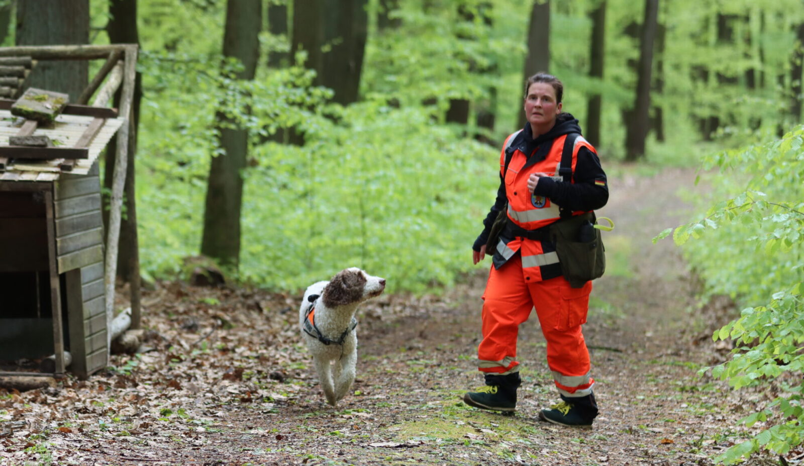 IMG_5266 Vanessa Stutius mit Ballisto